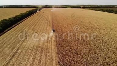 鸟瞰大量的联合收割小麦在黄色麦田。 田工农业现场..